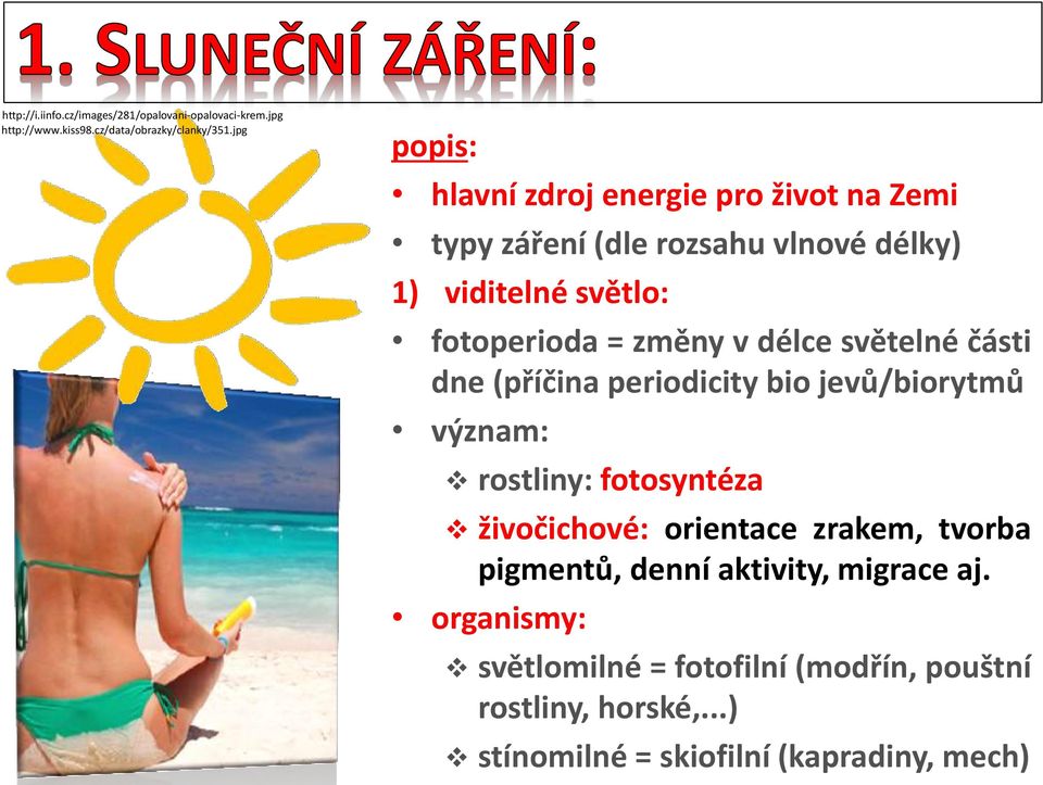 v délce světelné části dne (příčina periodicity bio jevů/biorytmů význam: rostliny: fotosyntéza živočichové: orientace zrakem,