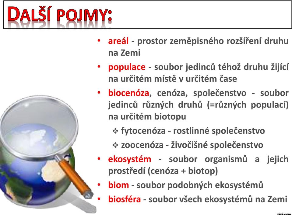 určitém biotopu fytocenóza - rostlinné společenstvo zoocenóza - živočišné společenstvo ekosystém - soubor organismů