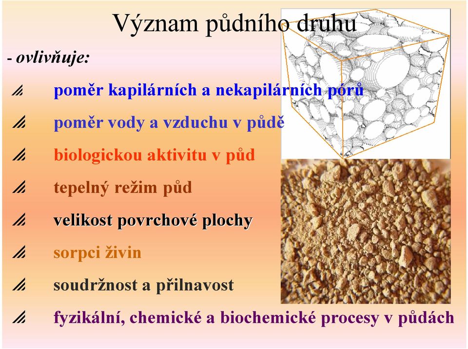 aktivitu v půd tepelný režim půd velikost povrchové plochy sorpci