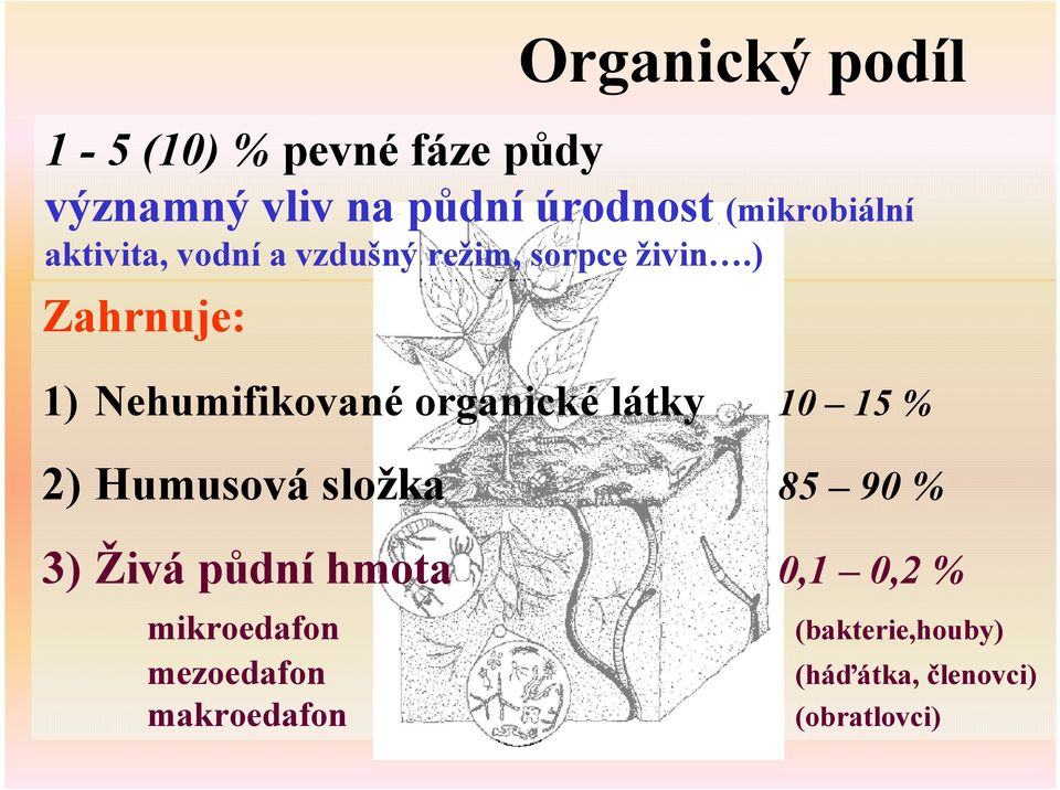 ) Zahrnuje: 1) Nehumifikované organické látky 10 15 % 2) Humusová složka 85 90 %