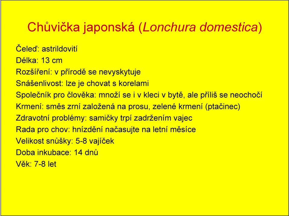 neochočí Krmení: směs zrní založená na prosu, zelené krmení (ptačinec) Zdravotní problémy: samičky trpí