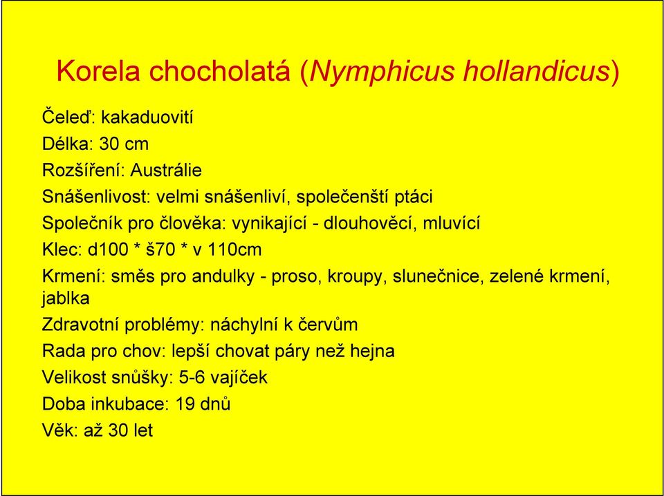 110cm Krmení: směs pro andulky - proso, kroupy, slunečnice, zelené krmení, jablka Zdravotní problémy: náchylní k