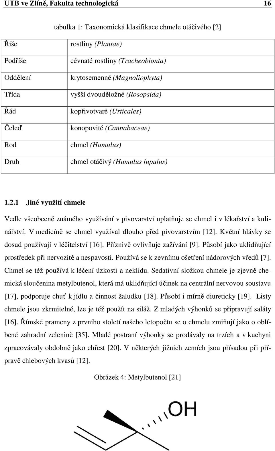 1 Jiné využití chmele Vedle všeobecně známého využívání v pivovarství uplatňuje se chmel i v lékařství a kulinářství. V medicíně se chmel využíval dlouho před pivovarstvím [12].