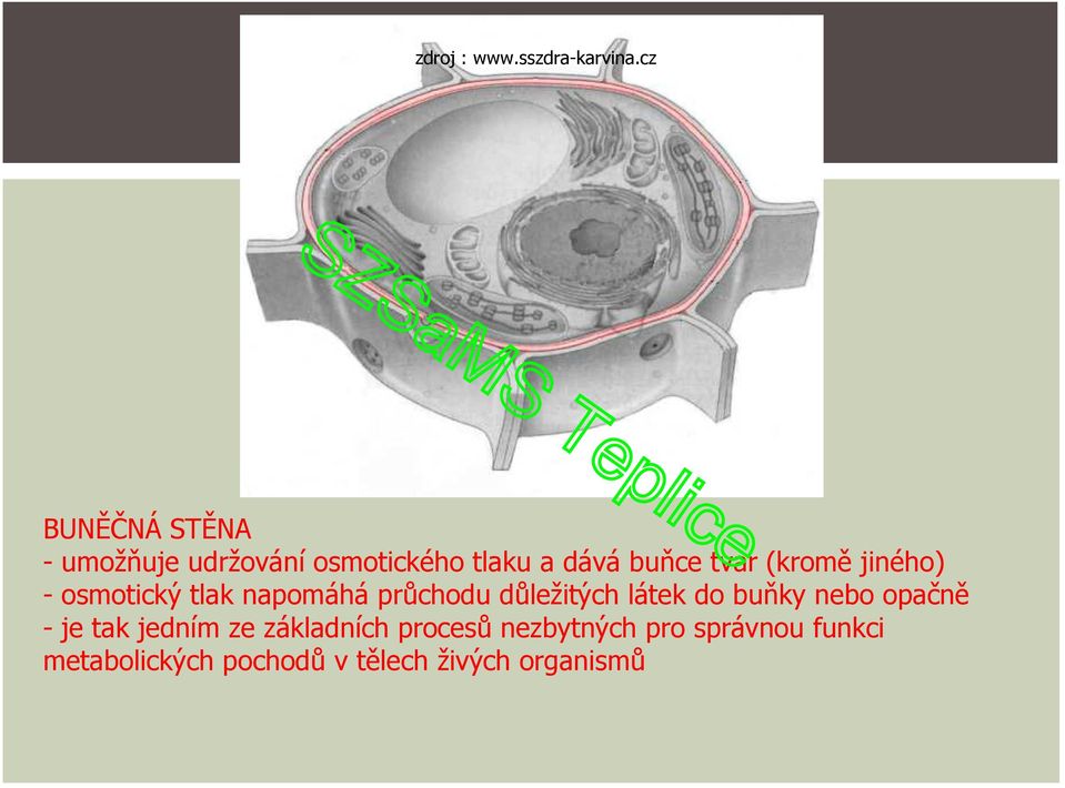 (kromě jiného) - osmotický tlak napomáhá průchodu důležitých látek do buňky