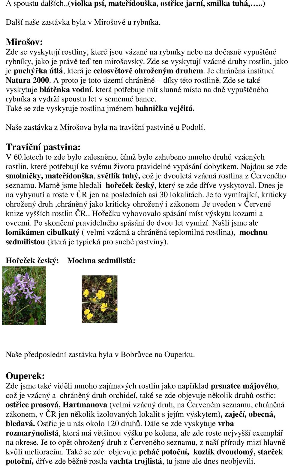 Zde se vyskytují vzácné druhy rostlin, jako je puchýřka útlá, která je celosvětově ohroženým druhem. Je chráněna institucí Natura 2000. A proto je toto území chráněné - díky této rostlině.