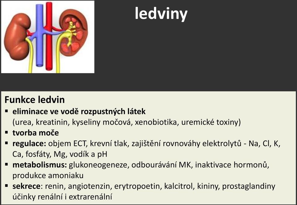 Ca, fosfáty, Mg, vodík a ph metabolismus: glukoneogeneze, odbourávání MK, inaktivace hormonů, produkce