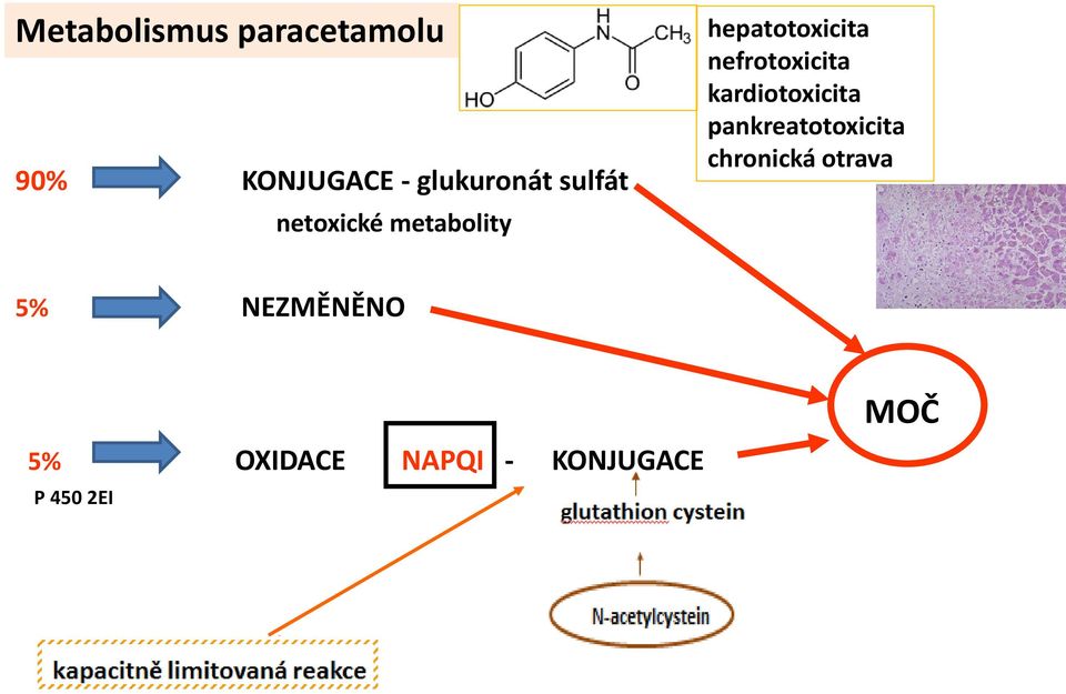 nefrotoxicita kardiotoxicita pankreatotoxicita