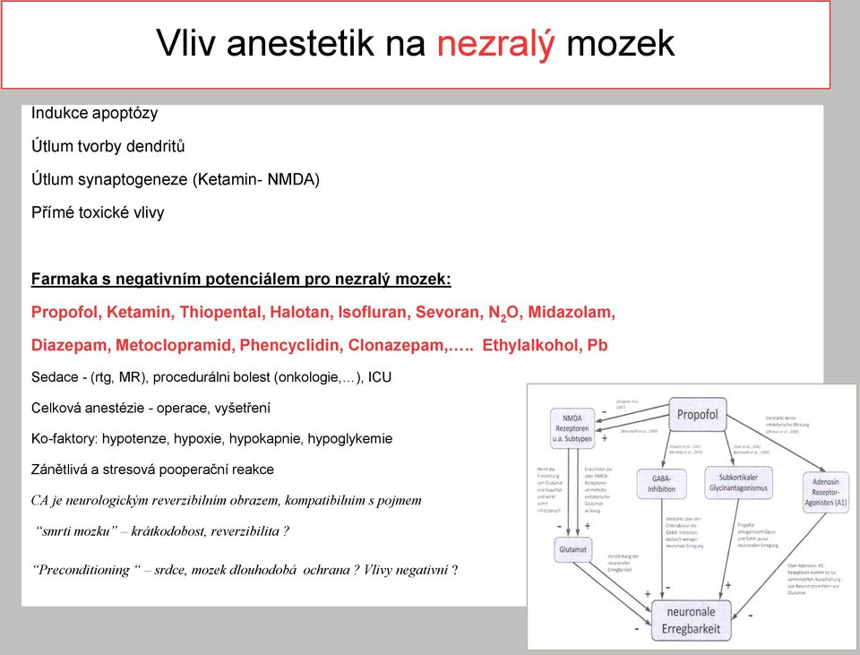 . Ethylalkohol, Pb Sedace - (rtg, MR), procedurálni bolest (onkologie, ), ICU Celková anestézie - operace, vyšetření Ko-faktory: hypotenze, hypoxie, hypokapnie, hypoglykemie