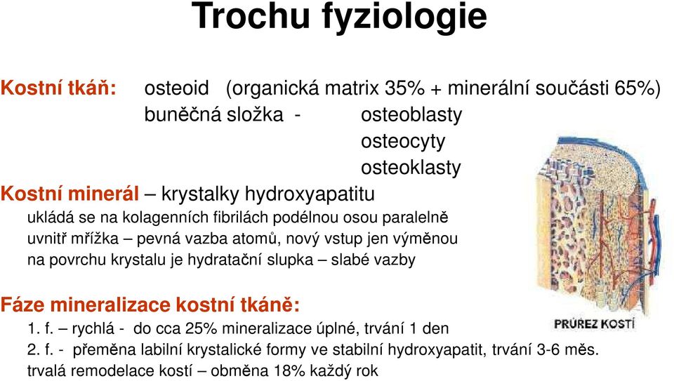 vstup jen výměnou na povrchu krystalu je hydratační slupka slabé vazby Fáze mineralizace kostní tkáně: 1. f.