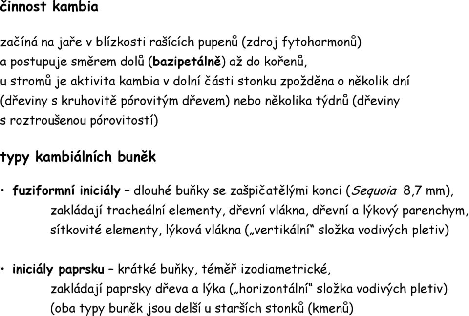 zašpičatělými konci (Sequoia 8,7 mm), zakládají tracheální elementy, dřevní vlákna, dřevní a lýkový parenchym, sítkovité elementy, lýková vlákna ( vertikální složka vodivých