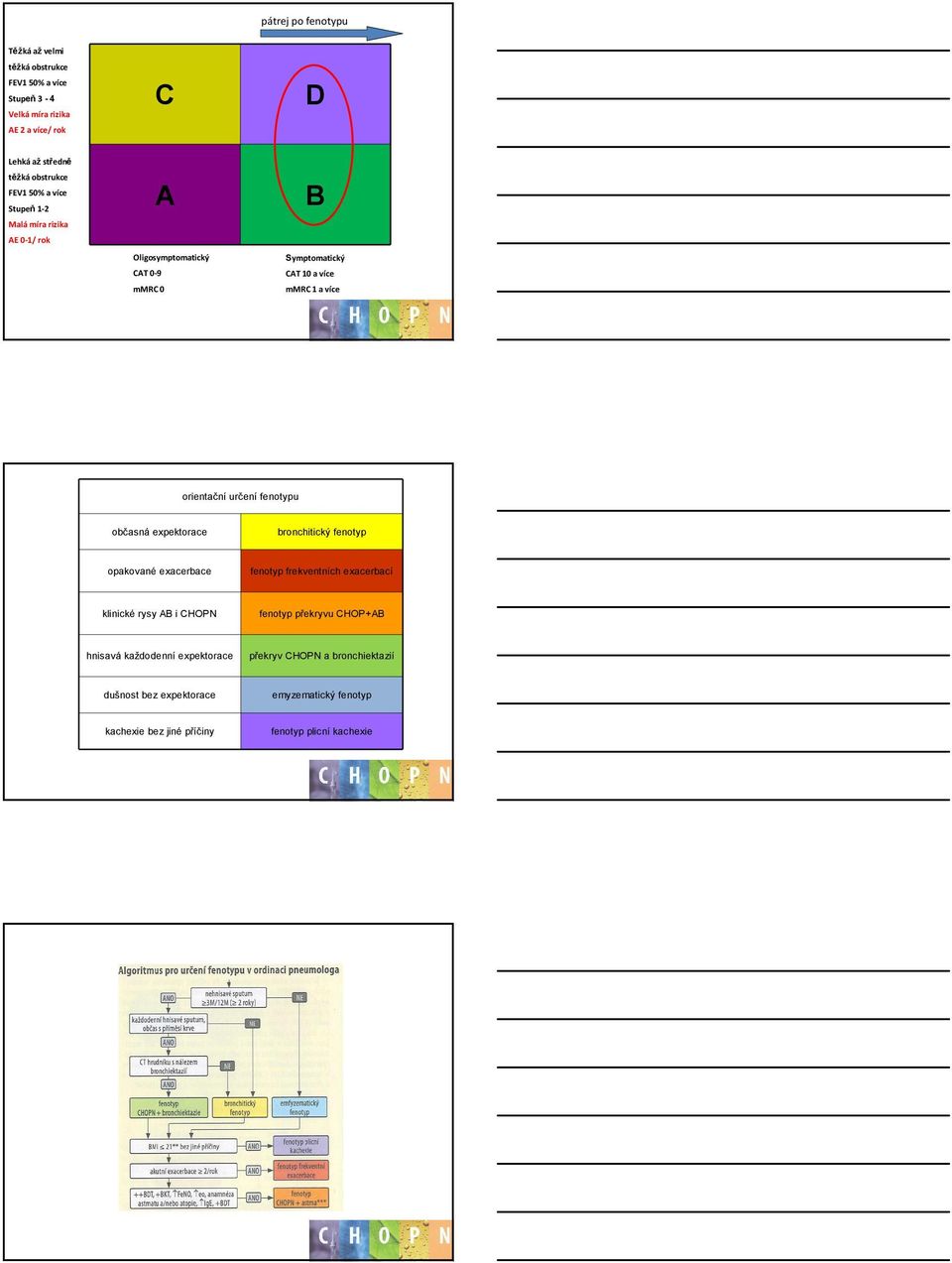 fenotypu občasná expektorace bronchitický fenotyp opakované exacerbace fenotyp frekventních exacerbací klinické rysy AB i CHOPN fenotyp překryvu CHOP+AB