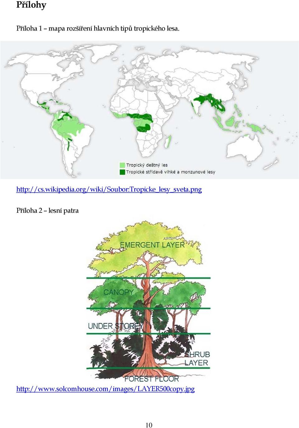 org/wiki/soubor:tropicke_lesy_sveta.
