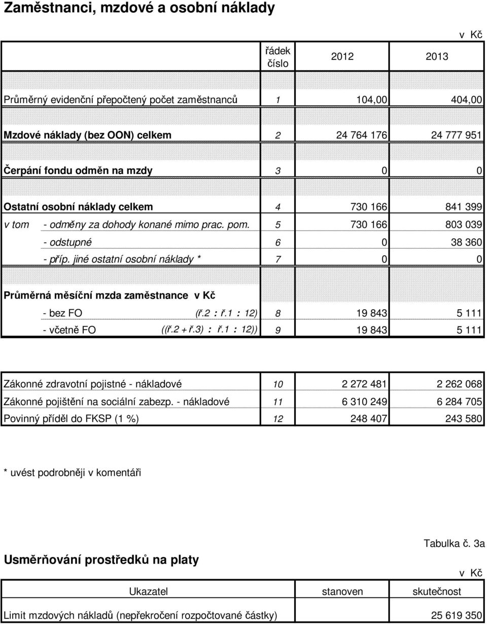 jiné ostatní osobní náklady * 7 0 0 Průměrná měsíční mzda zaměstnance v Kč - bez FO (ř.2 : ř.1 : 12) 8 19 843 5 111 - včetně FO ((ř.2 + ř.3) : ř.