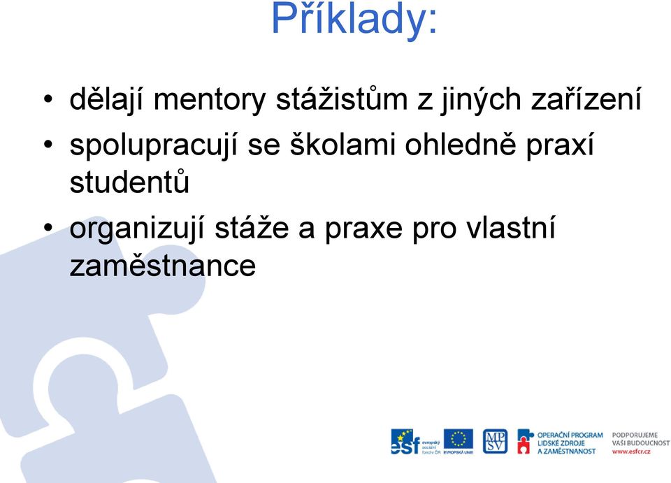 ohledně praxí studentů organizují