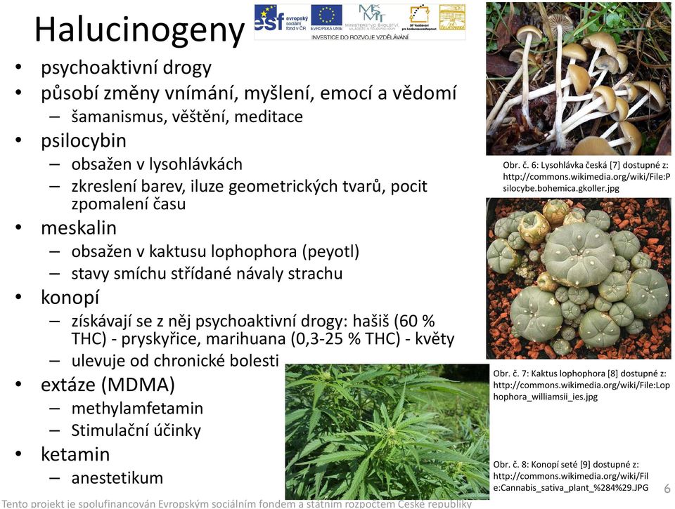 THC) - květy ulevuje od chronické bolesti extáze (MDMA) methylamfetamin Stimulační účinky ketamin anestetikum Obr. č. 6: Lysohlávka česká [7] dostupné z: http://commons.wikimedia.