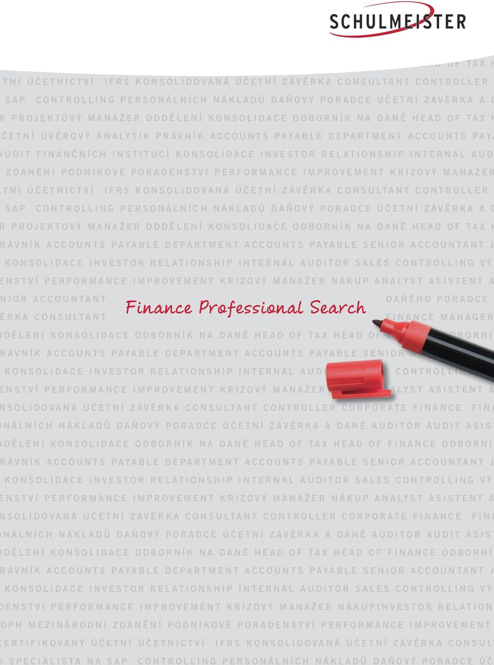ODBORNÍK NA DANĚ HEAD OF TAX H ČETNÍ ÚVĚROVÝ ANALYTIK PRÁVNÍK ACCOUNTS PAYABLE DEPARTMENT ACCOUNTS PAYA UDIT FINANČNÍCH INSTITUCÍ KONSOLIDACE INVESTOR RELATIONSHIP INTERNAL AUD ZDANĚNÍ PODNIKOVÉ