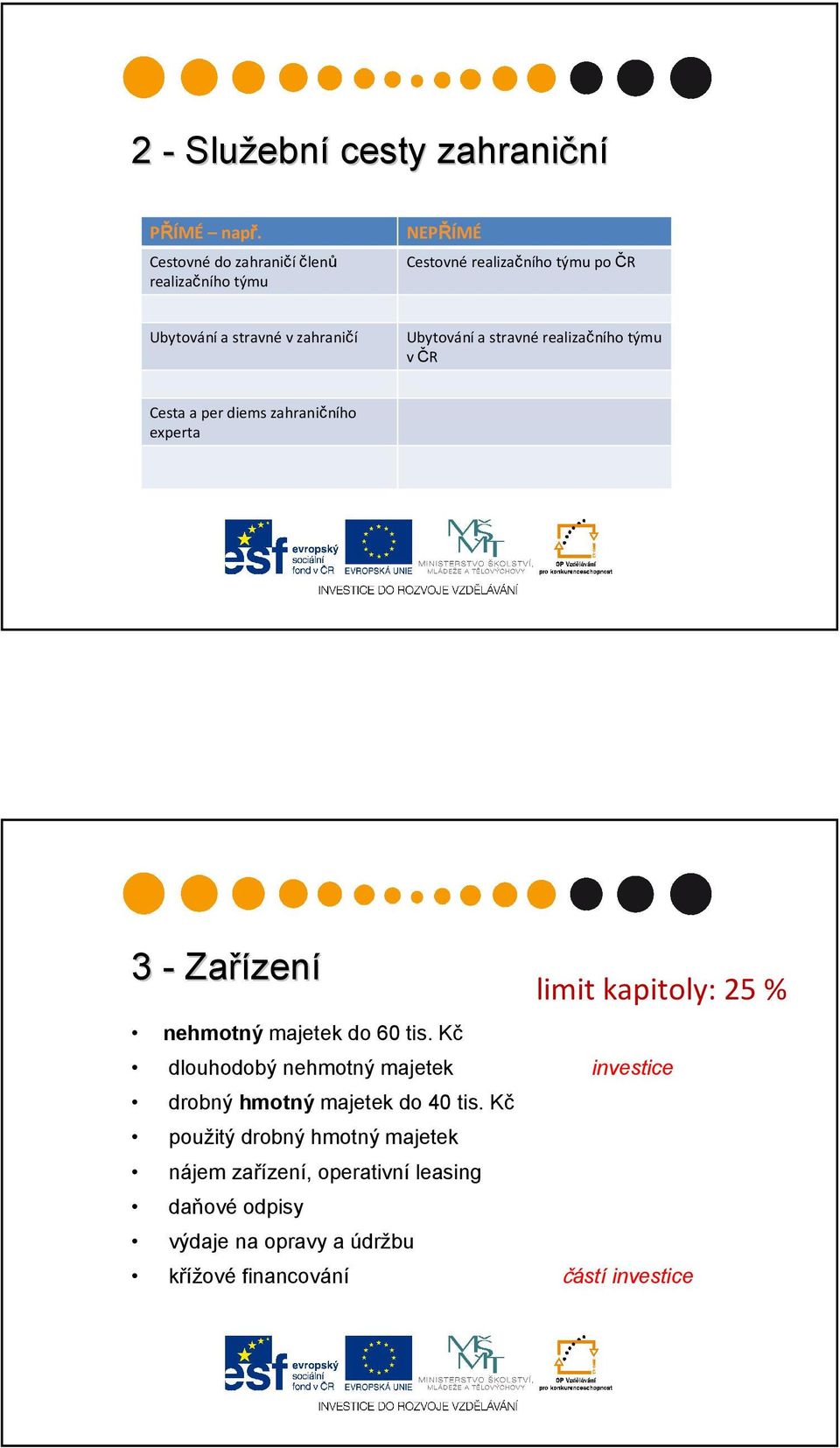 stravnérealizačního týmu v ČR Cesta a per diems zahraničního experta 3 - Zařízen zení nehmotný majetek do 60 tis.