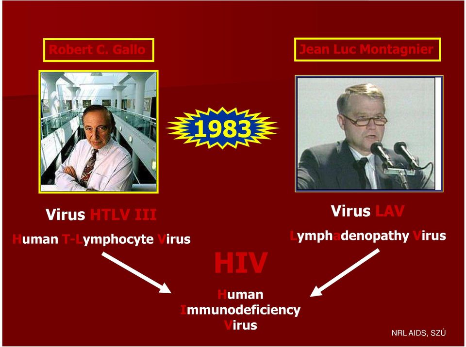 HTLV III Human T-Lymphocyte Virus Virus