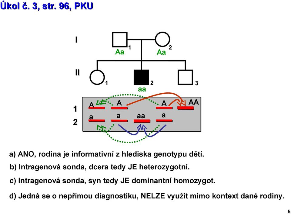 dětí. b) ntrgenová sond, dcer tedy JE heterozygotní.