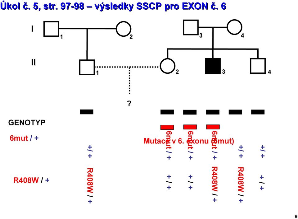 6 2 3 4 2 3 4 GENOTYP?