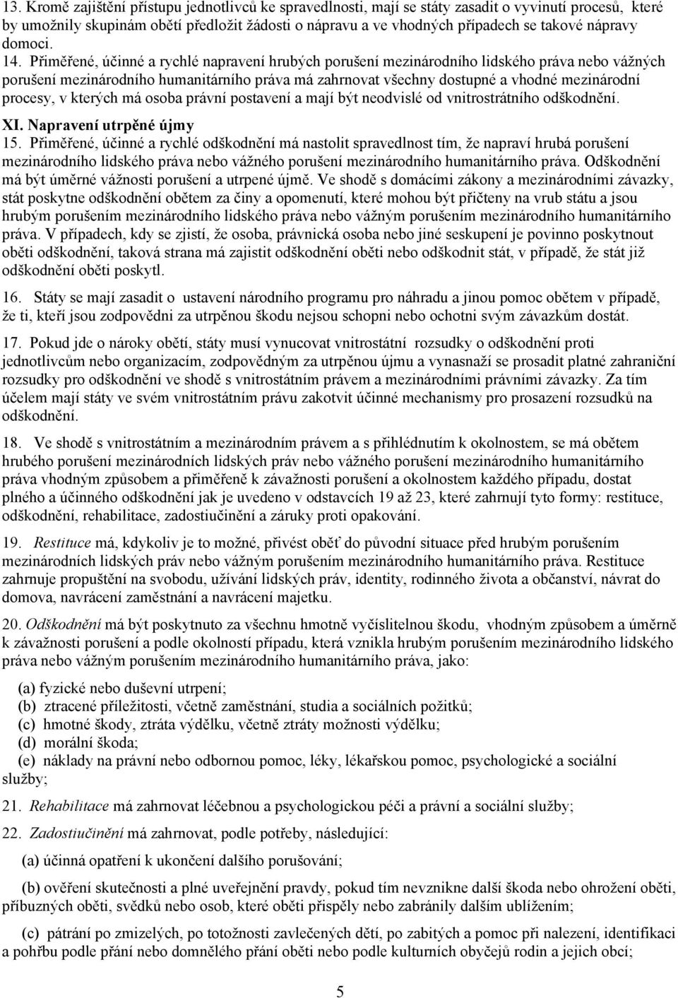 Přiměřené, účinné a rychlé napravení hrubých porušení mezinárodního lidského práva nebo vážných porušení mezinárodního humanitárního práva má zahrnovat všechny dostupné a vhodné mezinárodní procesy,