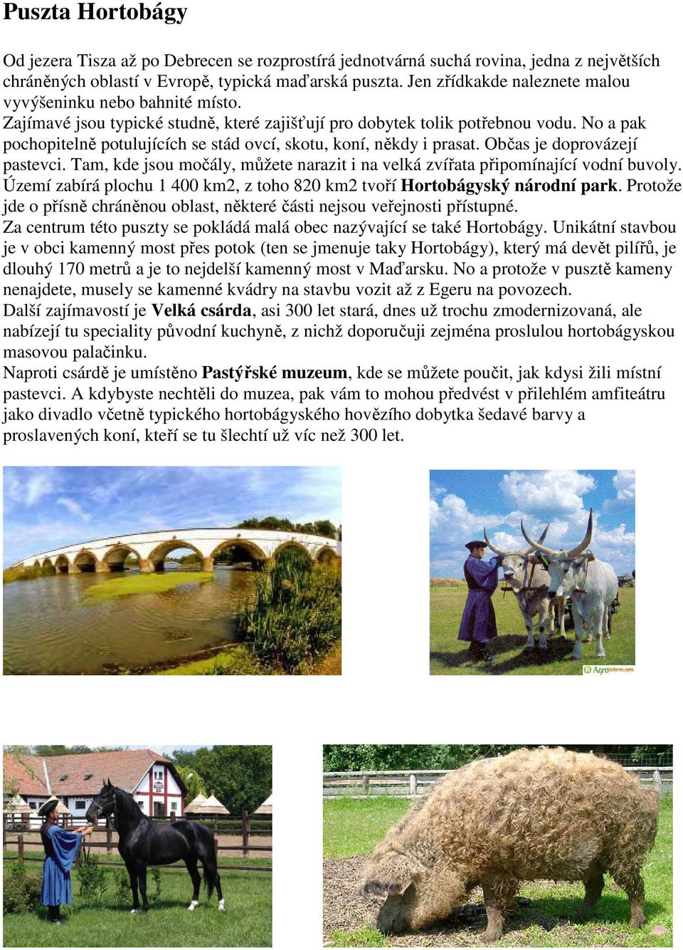 No a pak pochopitelně potulujících se stád ovcí, skotu, koní, někdy i prasat. Občas je doprovázejí pastevci. Tam, kde jsou močály, můžete narazit i na velká zvířata připomínající vodní buvoly.