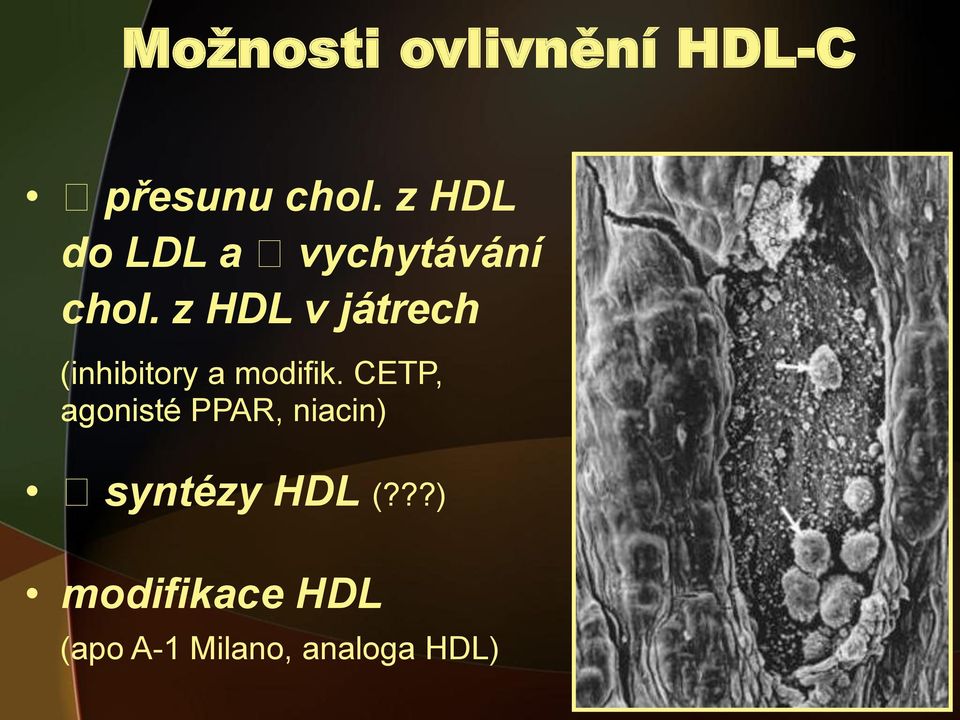 z HDL v játrech (inhibitory a modifik.