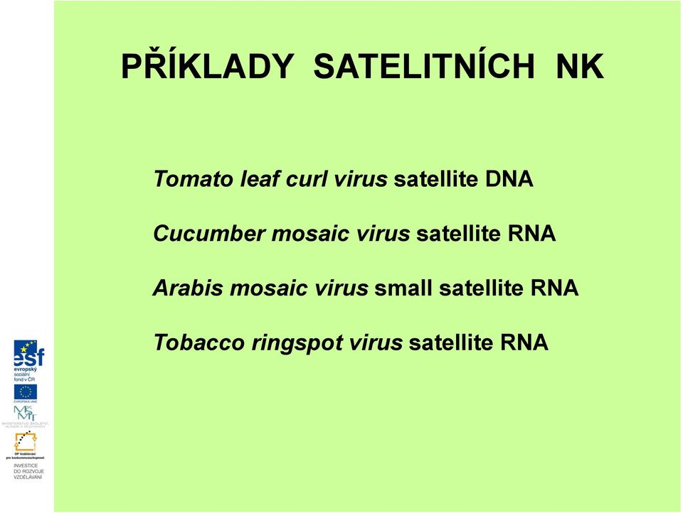 satellite RNA Arabis mosaic virus small