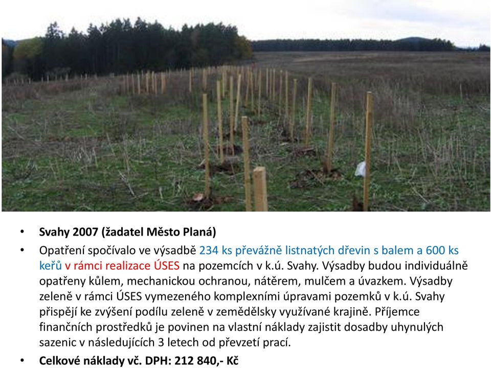 Výsadby zeleně v rámci ÚSES vymezeného komplexními úpravami pozemků v k.ú. Svahy přispějí ke zvýšení podílu zeleně v zemědělsky využívané krajině.