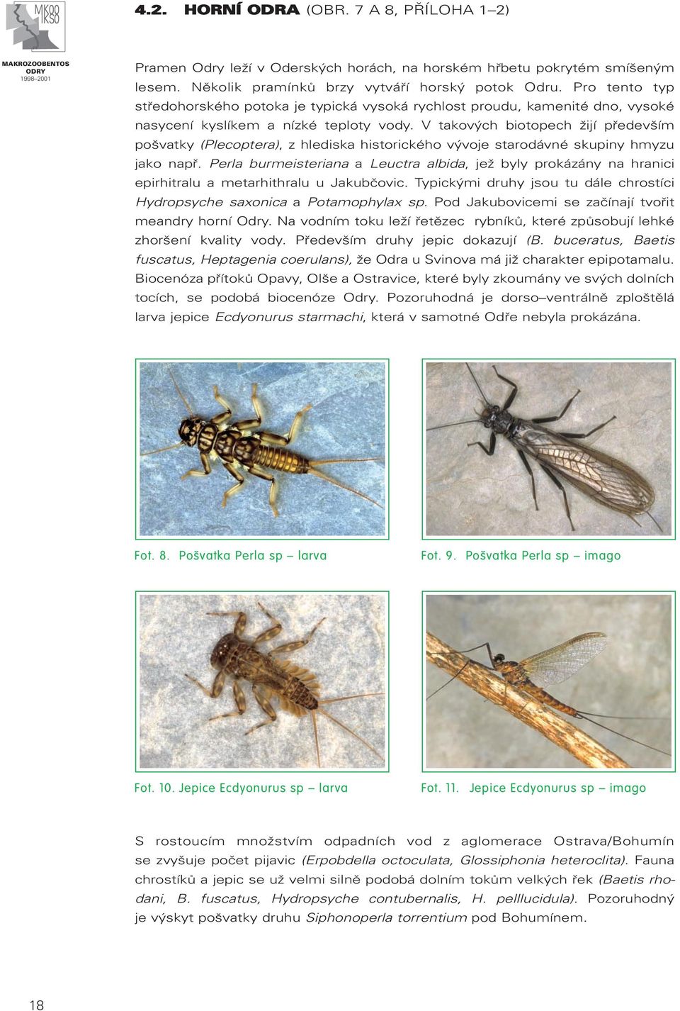 V takových biotopech žijí především pošvatky (Plecoptera), z hlediska historického vývoje starodávné skupiny hmyzu jako např.