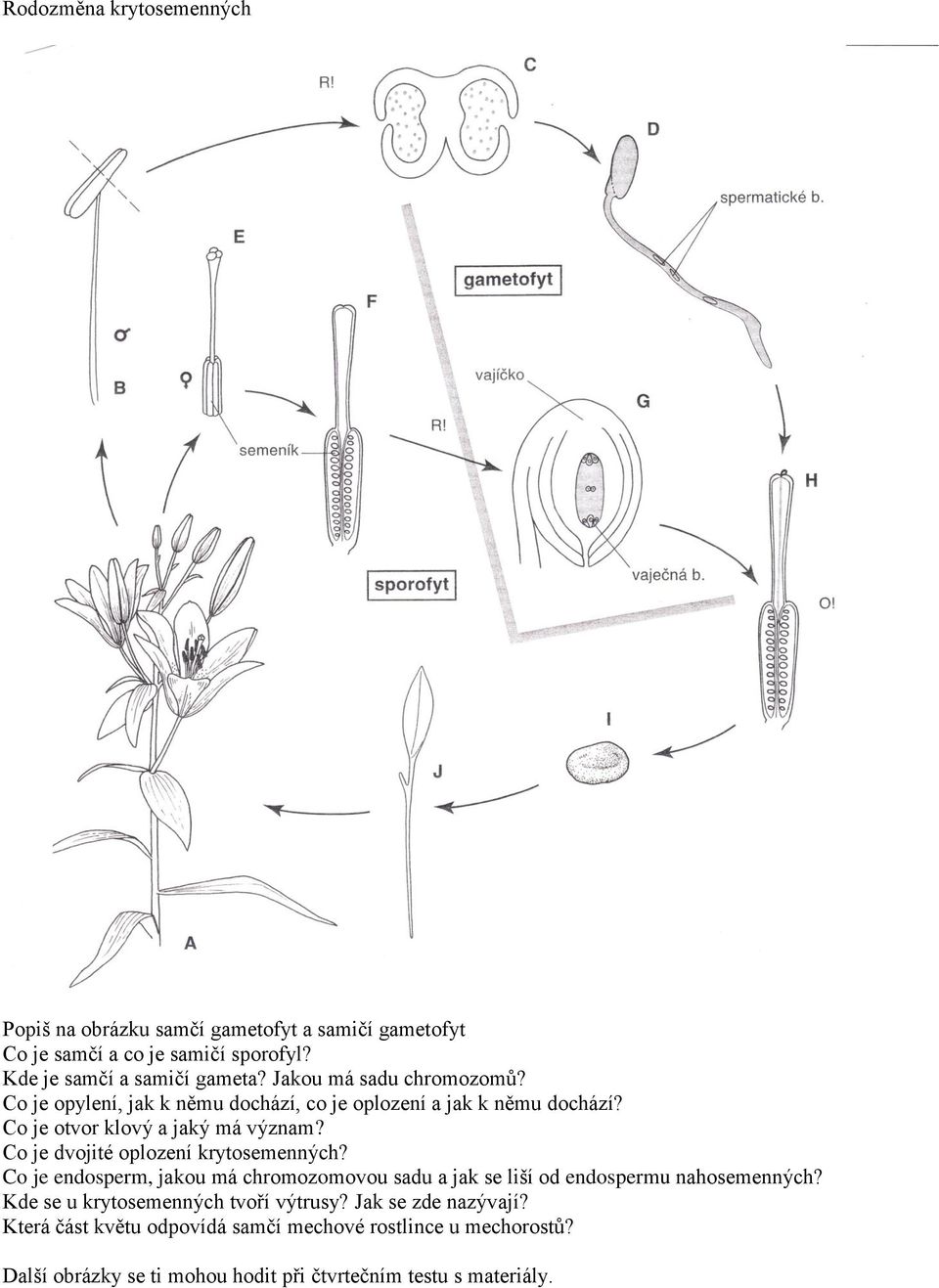 Co je dvojité oplození krytosemenných? Co je endosperm, jakou má chromozomovou sadu a jak se liší od endospermu nahosemenných?