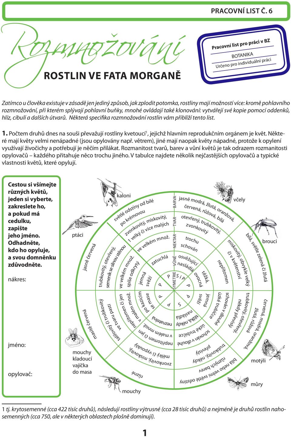 možností více: kromě pohlavního rozmnožování, při kterém splývají pohlavní buňky, mnohé ovládají také klonování: vytvářejí své kopie pomocí oddenků, hlíz, cibulí a dalších útvarů.