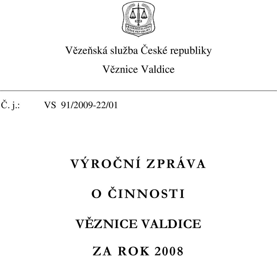 : VS 91/2009-22/01 VÝROČNÍ