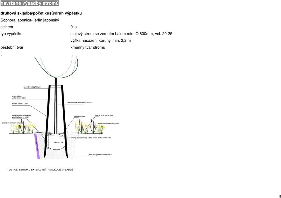 výpěstku alejový strom se zemním balem min. Ø 800mm, vel.