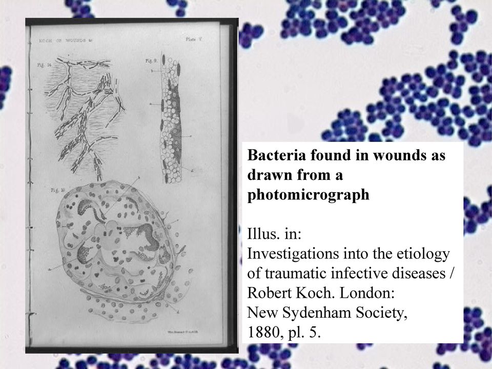 in: Investigations into the etiology of