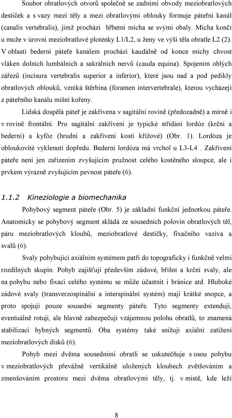V oblasti bederní páteře kanálem prochází kaudálně od konce míchy chvost vláken dolních lumbálních a sakrálních nervů (cauda equina).