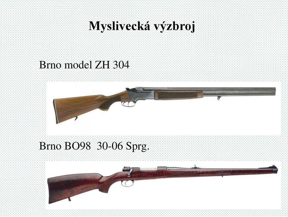 model ZH 304