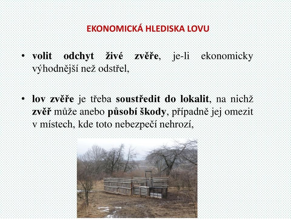 soustředit do lokalit, na nichž zvěř může anebo působí