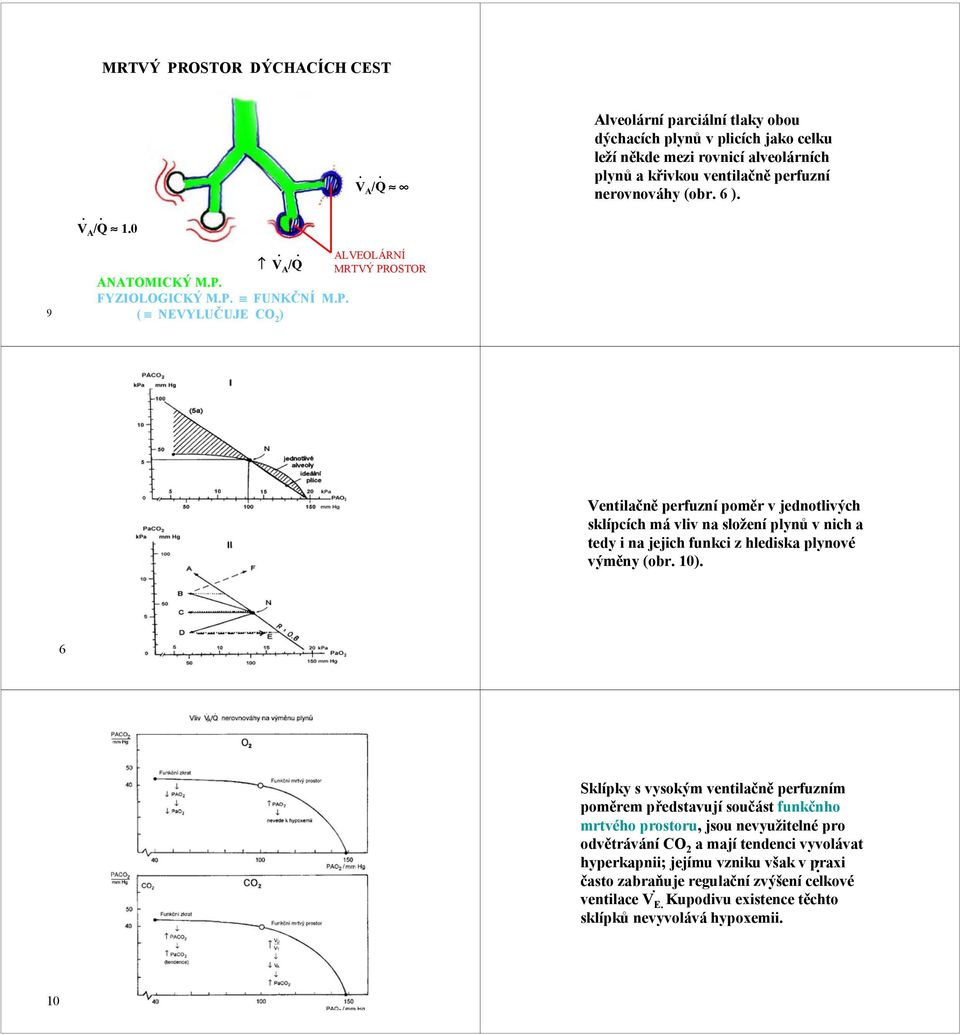vnich a tedy i na jejich funkci z hlediska plynové výměny (obr 10) 6 Sklípky s vysokým ventilačně perfuzním poměrem představují součást funkčnho mrtvého prostoru, jsou nevyužitelné pro