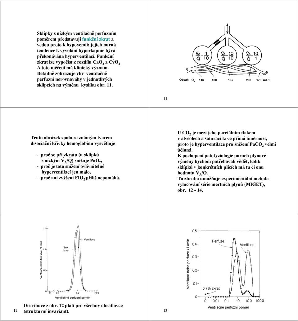 známým tvarem disociační křivky hemoglobinu vysvětluje -proč se při zkratu (u sklípků snízkým V A /Q) snižuje PaO, -proč je toto snížení ovlivnitelné hyperventilací jen málo, -proč ani zvýšení FIO