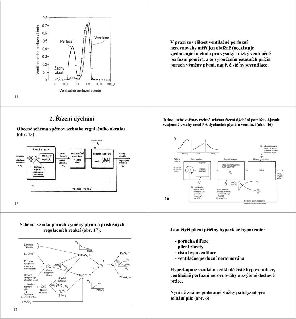 dýchacích plynů a ventilací (obr 16) 15 16 Schéma vzniku poruch výměny plynů a příslušných regulačních reakcí (obr 17) Jsou čtyři plicní příčiny hypoxické hypoxémie: - porucha difuze - plicní zkraty