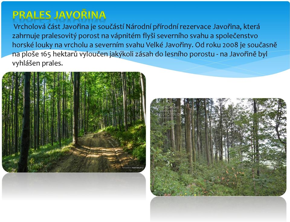 louky na vrcholu a severním svahu Velké Javořiny.