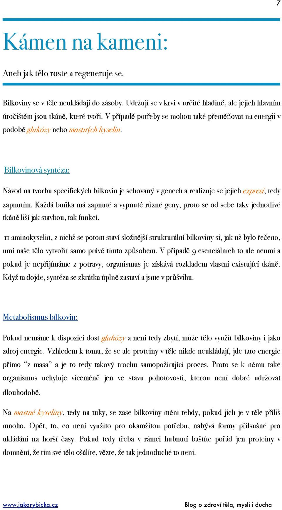 Bílkovinová syntéza: Návod na tvorbu specifických bílkovin je schovaný v genech a realizuje se jejich expresí, tedy zapnutím.