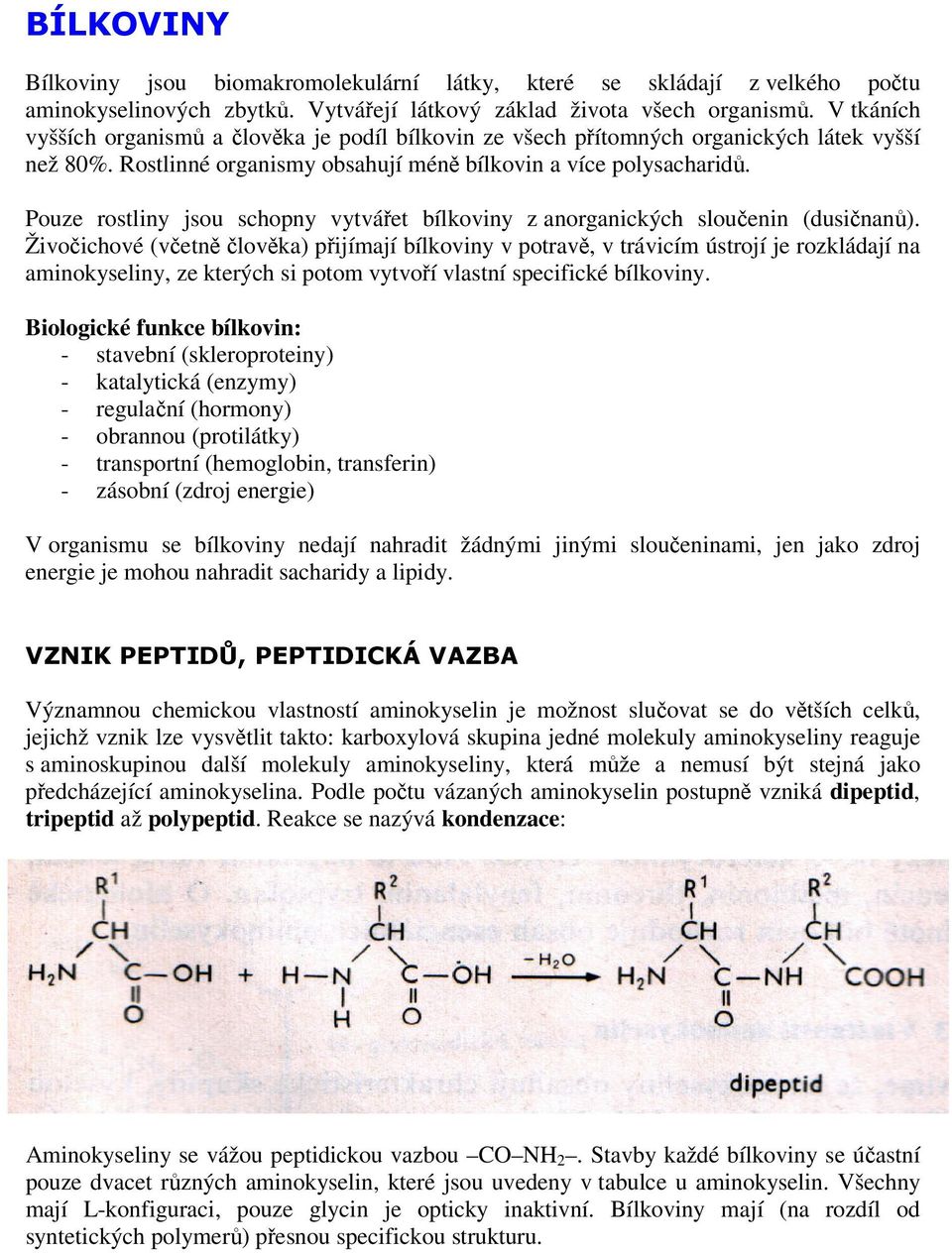 Pouze rostliny jsou schopny vytvářet bílkoviny z anorganických sloučenin (dusičnanů).