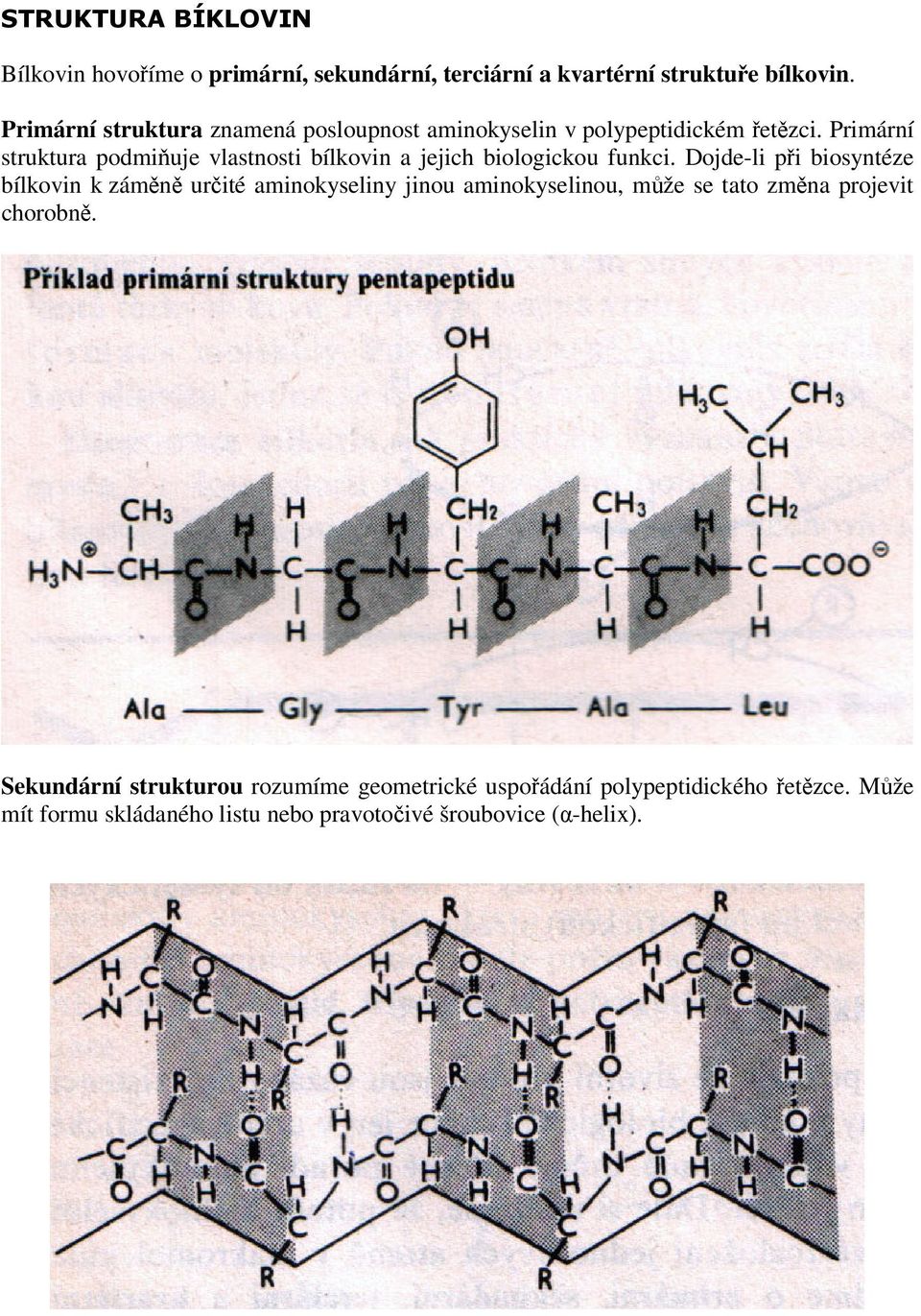 Primární struktura podmiňuje vlastnosti bílkovin a jejich biologickou funkci.