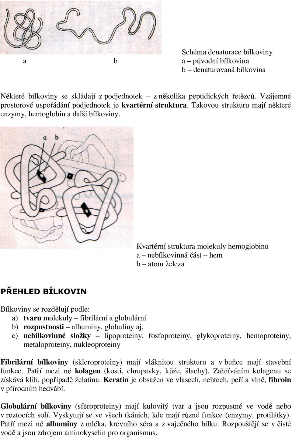 Kvartérní struktura molekuly hemoglobinu a nebílkovinná část hem b atom železa PŘEHLED BÍLKOVIN Bílkoviny se rozdělují podle: a) tvaru molekuly fibrilární a globulární b) rozpustnosti albuminy,