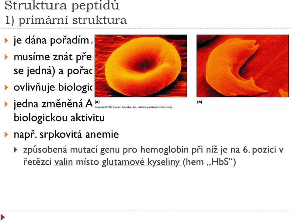 změněná AK může snížit nebo úplně zničit biologickou aktivitu např.