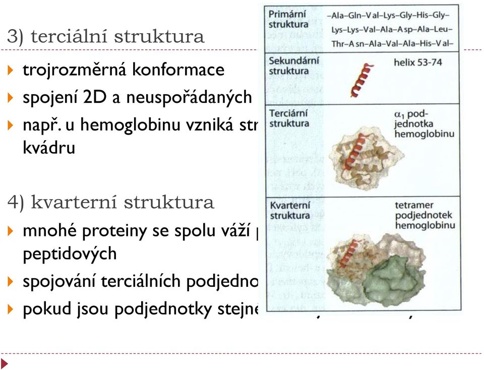 u hemoglobinu vzniká struktura, která má tvar kvádru 4) kvarterní struktura mnohé