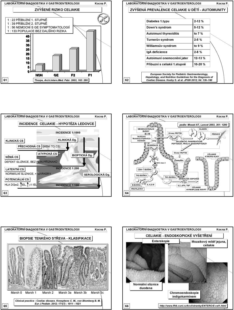 typu Down s syndrom Autoimuní thyreoiditis Turnerův syndrom Williamsův syndrom IgA deficience Autoimuní onemocnění jater Příbuzní s celiakií 1.