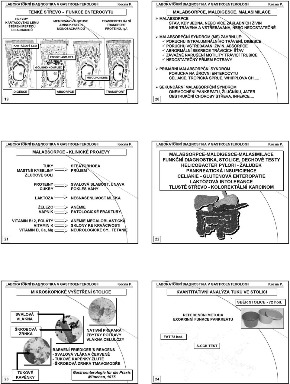 SYNDROM (MS) ZARNUJE: PORUCU INTRALUMINÁLNÍO TRÁVENÍ, DIGESCE PORUCU VSTŘEBÁVÁNÍ ŽIVIN, ABSORPCE ABNORMÁLNÍ SEKRECE TRÁVICÍC ŠŤAV ZÁVAŽNÉ NARUŠENÍ MOTILITY TRÁVICÍ TRUBICE NEDOSTATEČNÝ PŘÍJEM POTRAVY